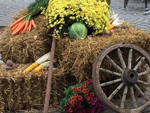 Herbstmarkt in Hameln