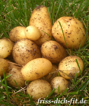 Kartoffeltag im Hängegarten 2022