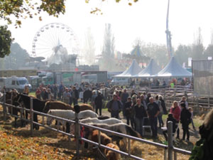 Fettmarkt in Warendorf 2023